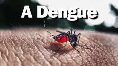 A dengue